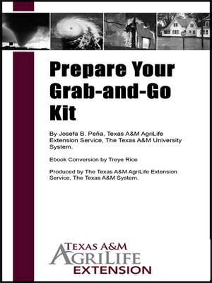 cover image of Prepare Your Grab-and-Go Kit